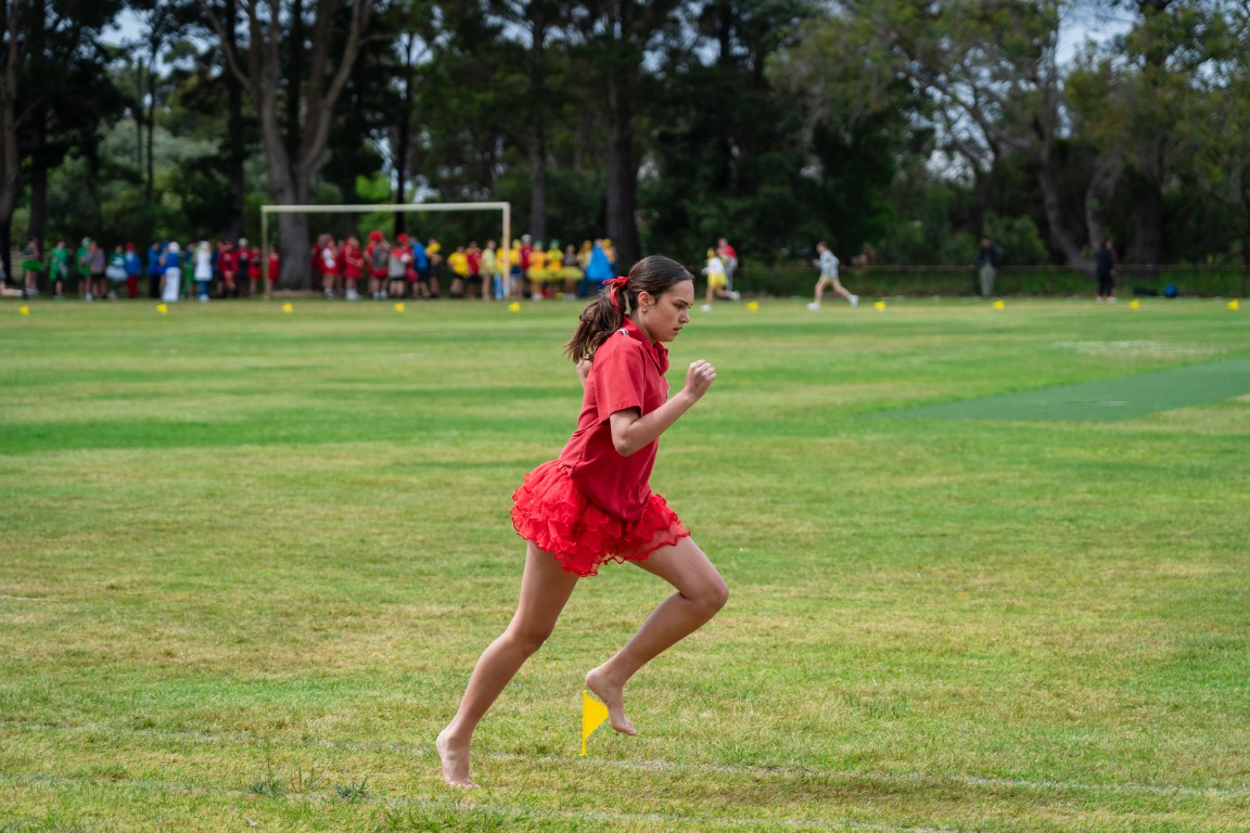 /uploaded_files/media/gallery/1764566053ATHS 25-30 (Medium).jpg